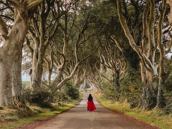 The Dark Hedges Game of Thrones